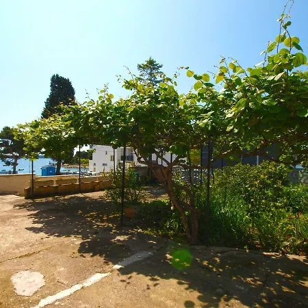 And Stoja 1864 Homestay *